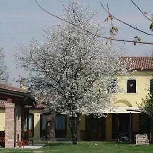 Apartment Particolari Del Brenta