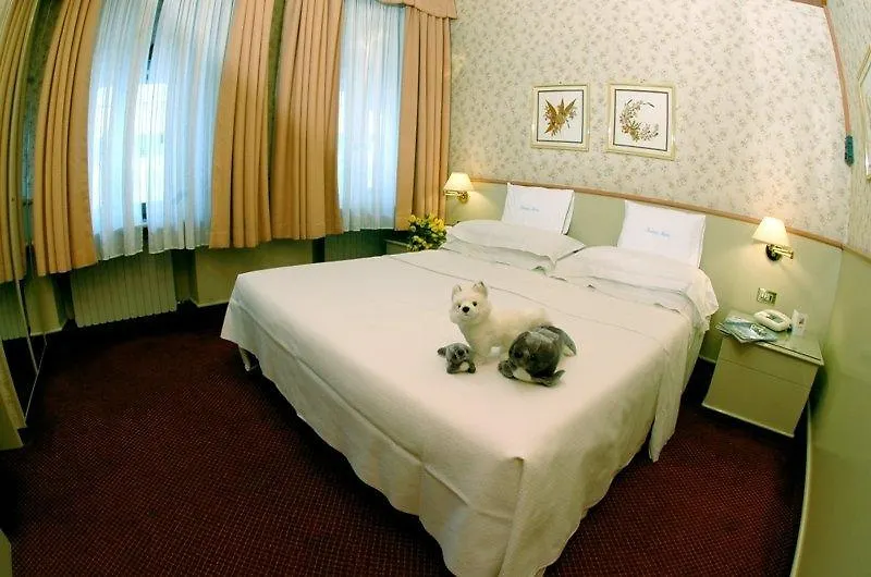 Hotel Laurin Salo 4*,